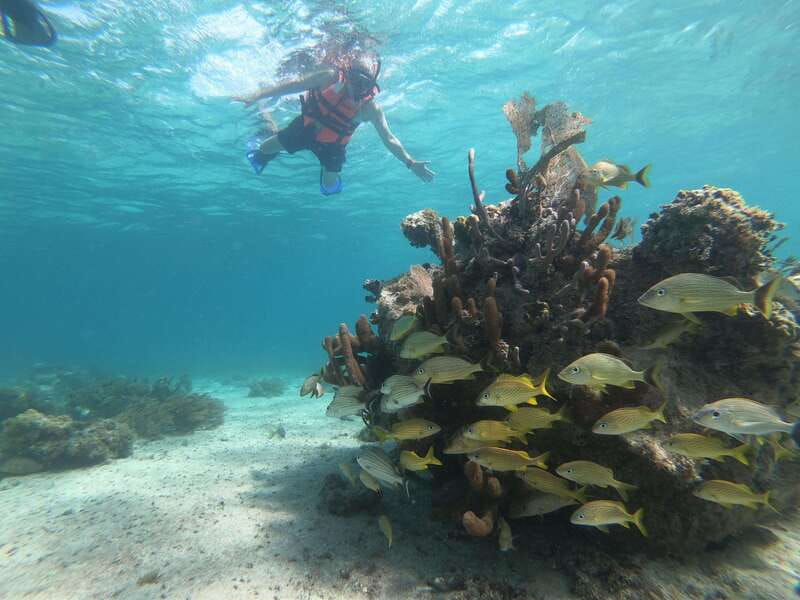 Mahahual: Snorkel Tour in Reef Lagoon - Should you book this Mahahual snorkel tour?