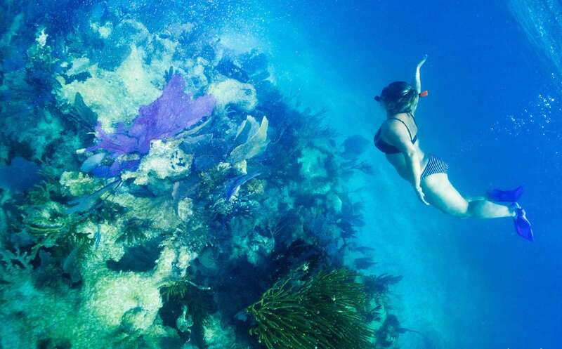 Mahahual: Snorkel Tour in Reef Lagoon - Gear fit and reef-life briefing, safety that feels practical