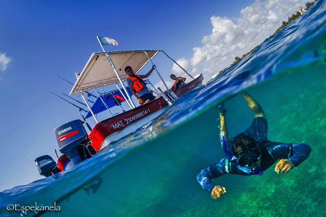 Mahahual Snorkeling Adventure: Turtle Encounter - The 1.5-hour flow: boat ride, two reef stops, back to the meeting spot