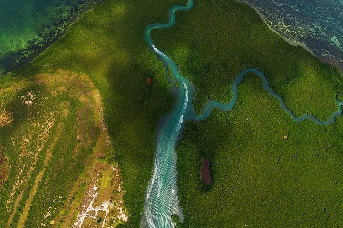Mangrove and Lagoon Speed Boat Tour - Jungle Tour Barracuda: What the 2 Hours Actually Feels Like