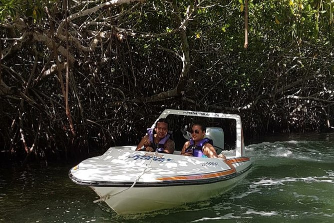 Mangrove and Lagoon Speed Boat Tour - Gear, Amenities, and Staff Style at the Marina