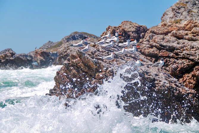 Marietas Hidden beach trip from Puerto Vallarta - Small Group Care: Why Up to 20 People Feels Different