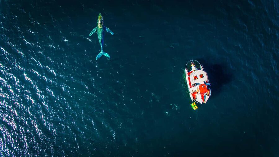 Marietas Islands Boat Tour: Snorkel, Kayak, Playa Nopalera - Breakfast and Open Bar: How They Keep the Day Moving