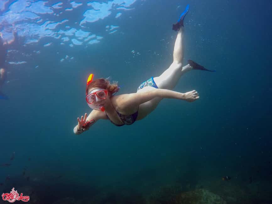 Marietas Islands Boat Tour: Snorkel, Kayak, Playa Nopalera - Wildlife Along Banderas Bay: Whales, Turtles, Rays, and Fish