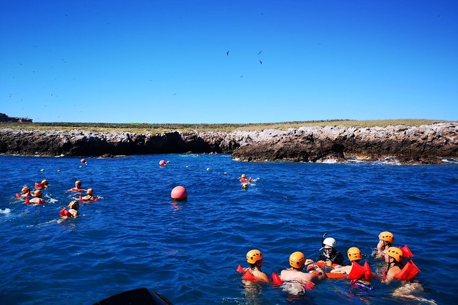 Marietas Islands Snorkel Tour & Hidden Beach - Wildlife spotting on the way to the islands