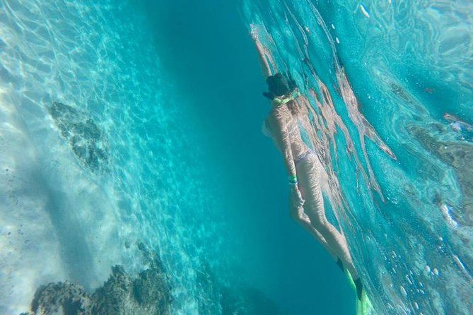 Marietas Islands Snorkeling Tour - Why Marietas Islands is such a good use of your time