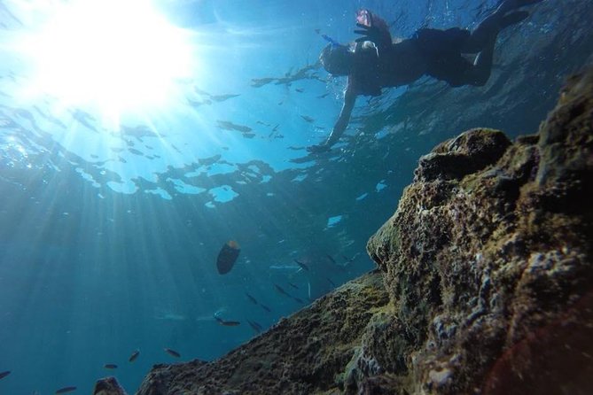 Marietas Islands Snorkeling Tour - Price and value: is $400 per group a good deal?