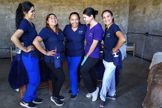 Massage Experience with Certified Therapists & Pickup Drop-Off - Price and value: what $62 buys you