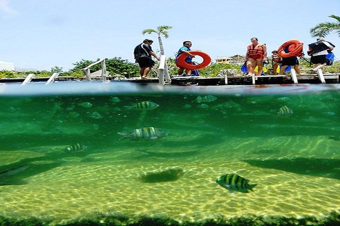 Mayan Adventure from Cancun - Hotel Pickup and the 10:00 am Start You Can Plan Around