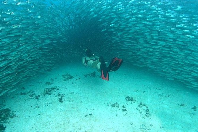 Mayan Adventure from Cancun - Group Size, Pace, and Fitness: Who This Works Best For