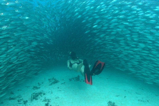 Mayan Adventure from Playa del Carmen - Snorkeling through caves, sinkholes, and reefs: what to expect and how to enjoy it