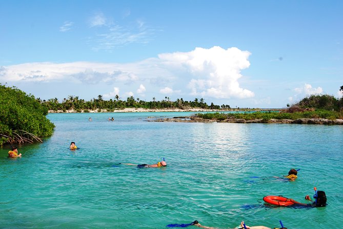 Mayan Adventure Snorkeling Tour from Playa del Carmen or Riviera Maya - What You’re Really Buying: Ocean, Jungle Cenote, Underground River