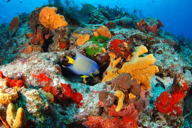 Mayan Adventure Snorkeling Tour from Playa del Carmen or Riviera Maya - Stop 1 at Aventuras Mayas: Your Prep Moment Before the Water