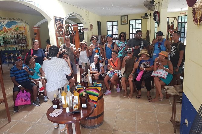 Mayan Village and Tequila Tour - The tequila stop at Hacienda Antigua: harvest to bottle