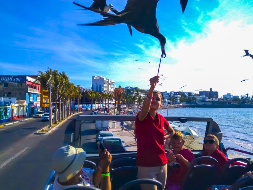 Mazatlán: Double-Decker Bus, Cliff Diving & Walking Tour - Malecón Boardwalk Ride, 8.5 Kilometers of Coast Views