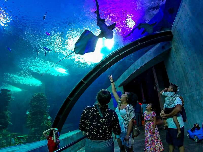 Mazatlan: Grand Aquarium Ticket and City Sightseeing Tour - Key Points You Should Know Before You Go