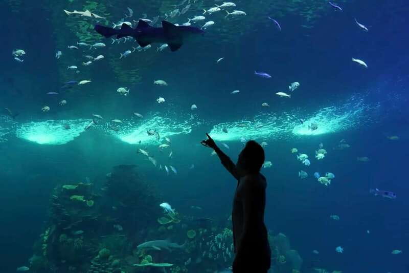 Mazatlan: Grand Aquarium Ticket and City Sightseeing Tour - Open-Air Pickup and the Real Start of the Day