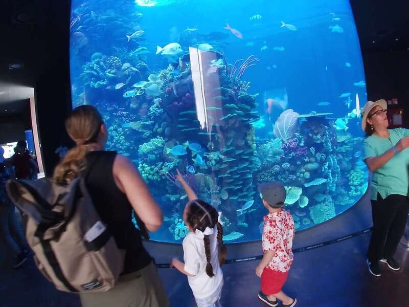Mazatlan: Grand Aquarium Ticket and City Sightseeing Tour - Manta Ray Feeding: The Interactive Moment