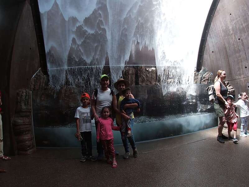 Mazatlan: Grand Aquarium Ticket and City Sightseeing Tour - Time Budget, Group Size, and Comfort