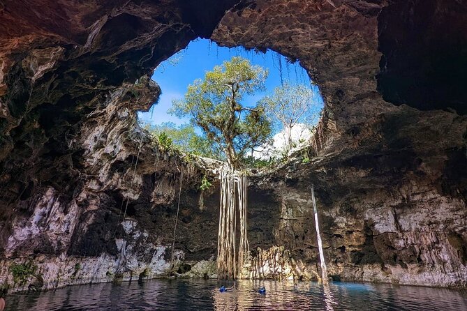 Merida : 4 Santa Barbara Cenotes and Bikes with Lunch - Key highlights to know before you go