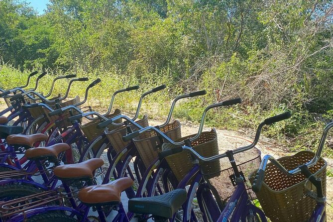 Merida : 4 Santa Barbara Cenotes and Bikes with Lunch - Value check: does $108.43 make sense for what you get?