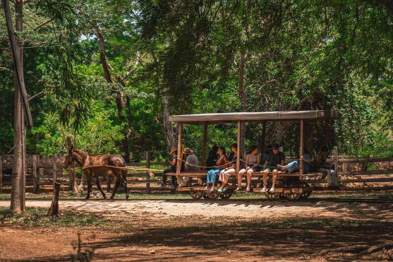 Merida: Hacienda Sotuta de Peon w/ Cenote & Henequen Tour - Cenote Dzul Ha: the swim and why it feels special