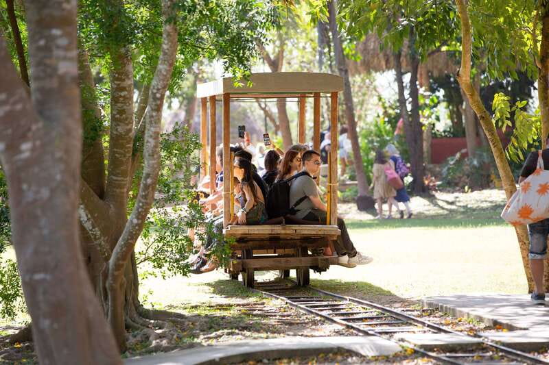 Merida: Hacienda Sotuta de Peon w/ Cenote & Henequen Tour - What to pack so the day runs smoothly