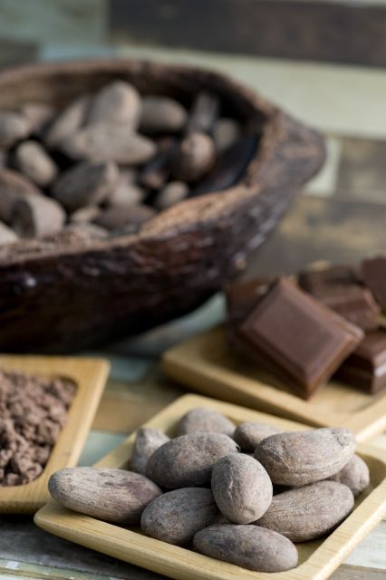 Mérida: Uxmal, Cenote and Chocolate Museum Choco-Story - Timing, group energy, and the guides that make it work