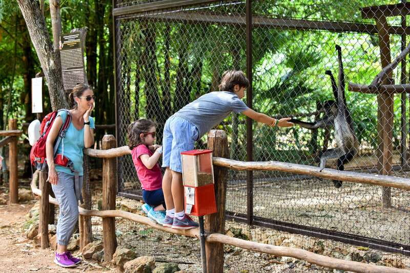 Mérida: Uxmal, Cenote and Chocolate Museum Choco-Story - What to pack and who should skip this day trip