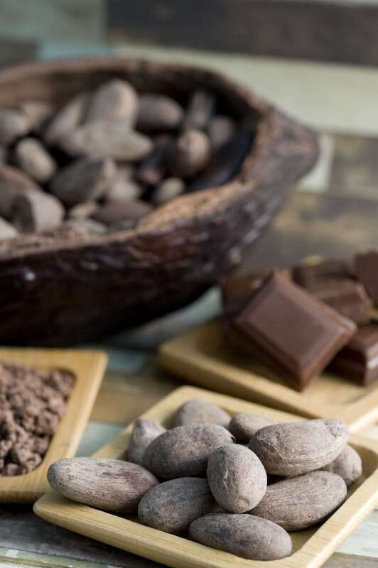 Mérida: Uxmal, Cenote and Chocolate Museum Choco-Story - Uxmal Guided Tour: where the Puuc style becomes readable