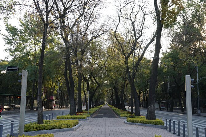 Mexico City: 19 City Highlights Bicycle Tour - Reforma Avenue power walk-by: El Ángel and Hemiciclo a Juárez