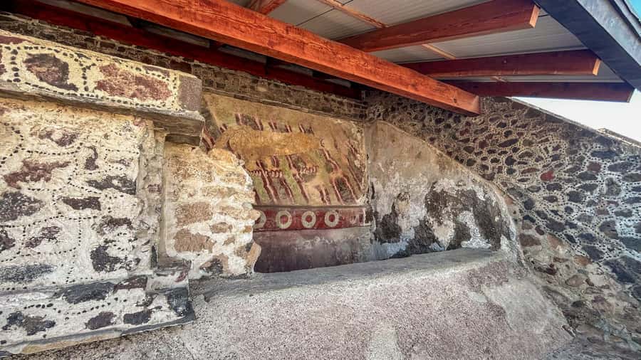 Mexico City: Afternoon Tour to Teotihuacan - Transportation and comfort: what the coach adds to the value