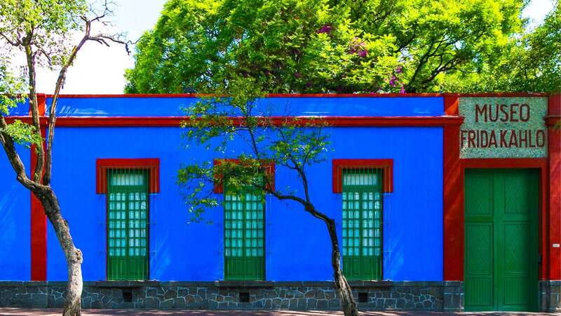 Mexico City: Coyoacan Tacos Food Tour & Optional Frida Kahlo - Key Highlights You Should Know