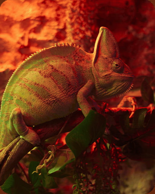 Mexico City: Fast Pass Ticket to Acuarium Inbursa - Price and value: is $19 a fair deal