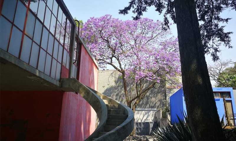 Mexico City: Frida Kahlo-Diego Rivera Studio House Tour - Should you book this Frida and Diego studio house tour?