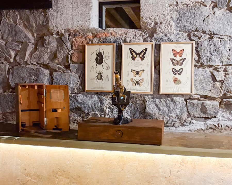 Mexico City: Frida Kahlo Museum Entry Ticket w/Digital Guide - Price and Value: Is $34 Worth It in Mexico City?