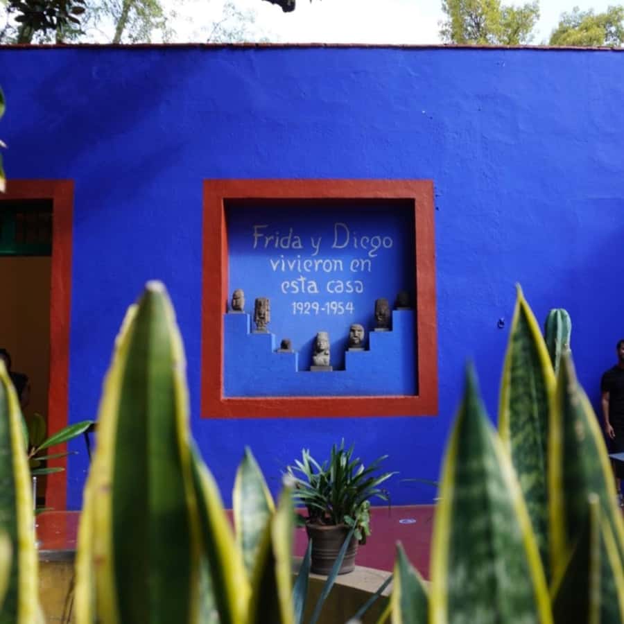 Mexico City: Frida Kahlo Museum Tour - Key things that make this Frida Kahlo tour worth it