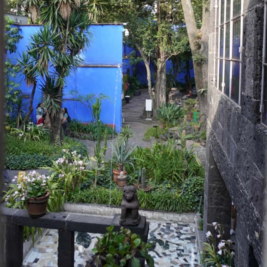 Mexico City: Frida Kahlo Museum Tour - Your Start Point: Museum Visit or a Coffee Stop in Del Carmen