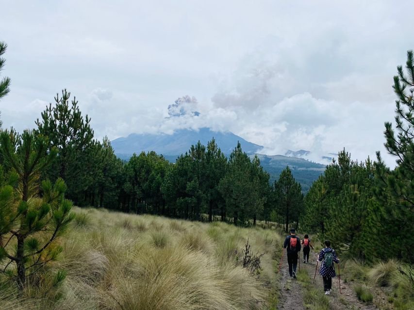 Mexico City: Guided Volcano Trek with Lunch - Amalacaxco Ravine: Native Flora, Fauna, and a Cooler Pace