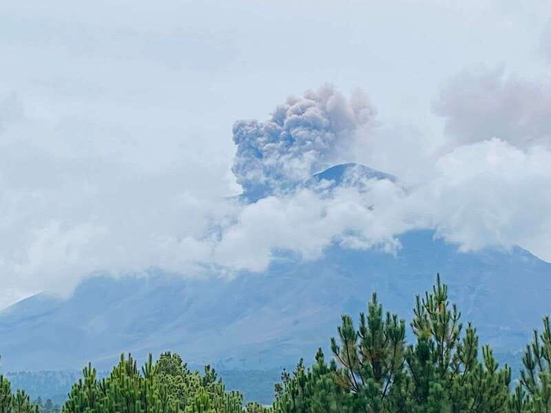 Mexico City: Guided Volcano Trek with Lunch - Market Lunch: A Real Reward, Not Just Fuel