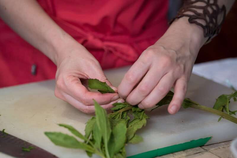 Mexico City: Mexican Cooking Class - The kitchen vibe: cozy, home-style, and designed for participation