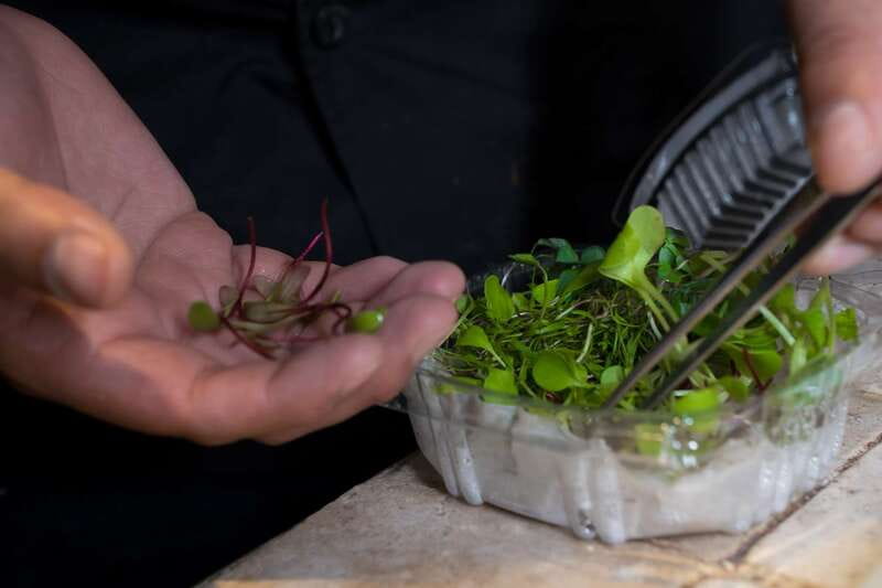 Mexico City: Mexican Cooking Class - How the class runs: turn-taking, chef feedback, and a 3-hour timeline that feels fair