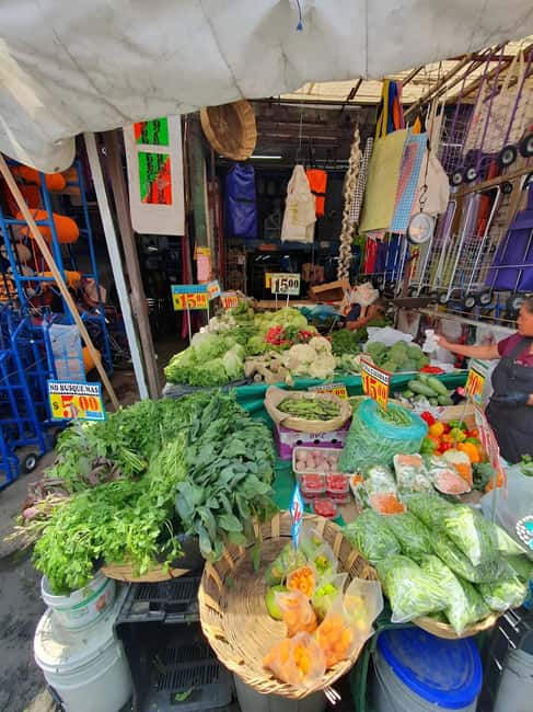 Mexico City: Mystic Markets La Merced & Sonora Culinary Tour - Pace and logistics: how to survive the walk and enjoy the chaos