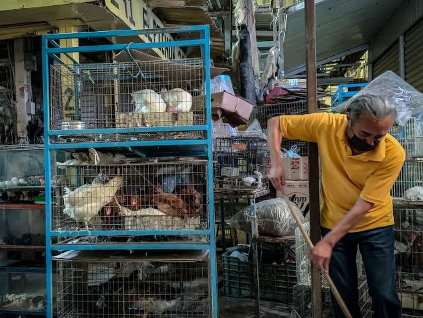 Mexico City: Mystic Markets La Merced & Sonora Culinary Tour - Who should book this Mexico City market tour