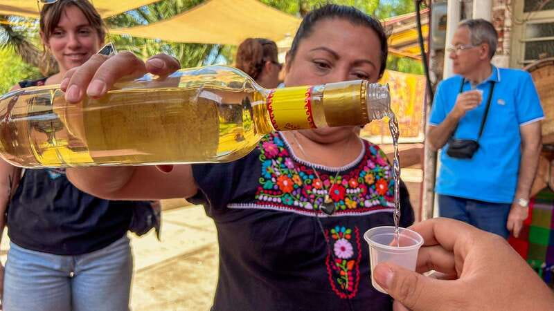 Mexico City: Teotihuacan, Tlatelolco & Basilica of Guadalupe - What to bring, and how to avoid common day-trip pain