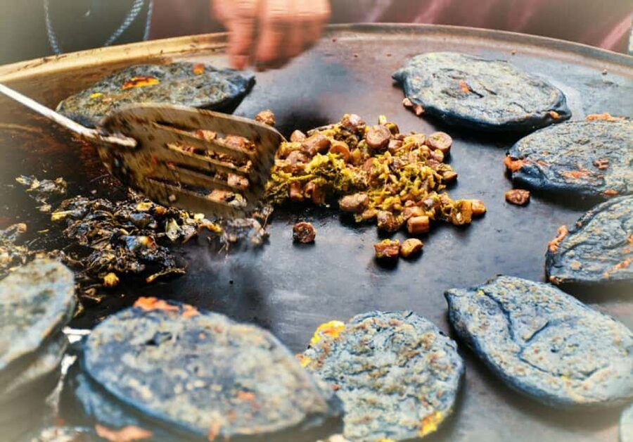 Mexico City: Vegan and Vegetarian Street Food Adventure - Key highlights before you go