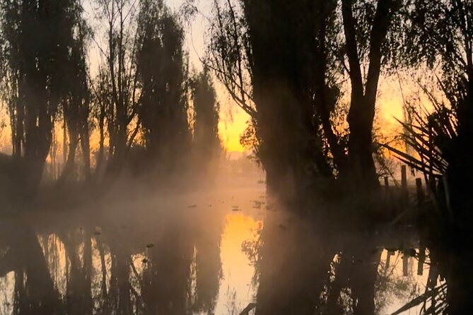 Mexico City: Xochimilco at sunrise + Breakfast and transportation - What You Learn on the Farm, Plus Planting Your Own Seedlings