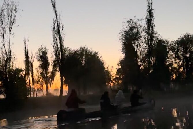 Mexico City: Xochimilco at sunrise + Breakfast and transportation - Seeing Xochimilco Again in Light: The 9:00am Return Ride