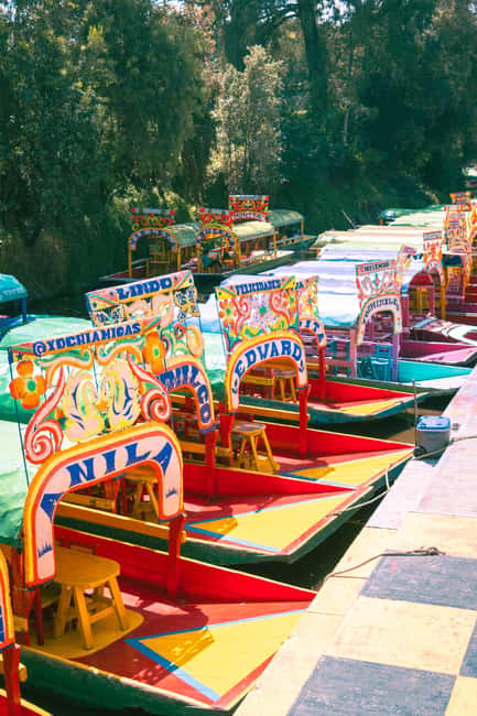 Mexico City: Xochimilco Boat with Guacamole & Premium Drinks - Key things to know before you go