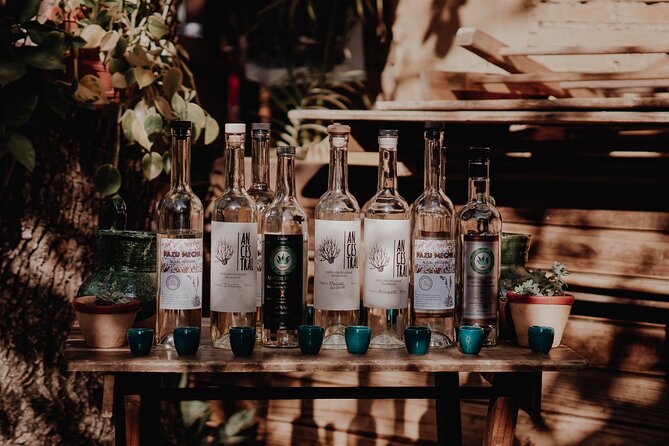 Mezcal & Mole by a Certified Sommelier - Seven vegetarian moles: why they feel like a menu lesson